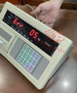 đầu cân xk3190-a9p