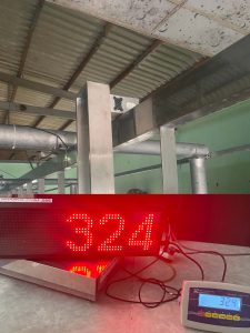 Các loại cân điện tử thịt heo mảnh 100kg, 200kg, 300kg, 500kg