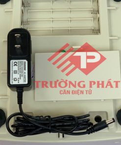 Cân điện tử GS3201N