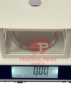 Cân điện tử DS320