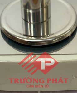 Cân điện tử GS322N