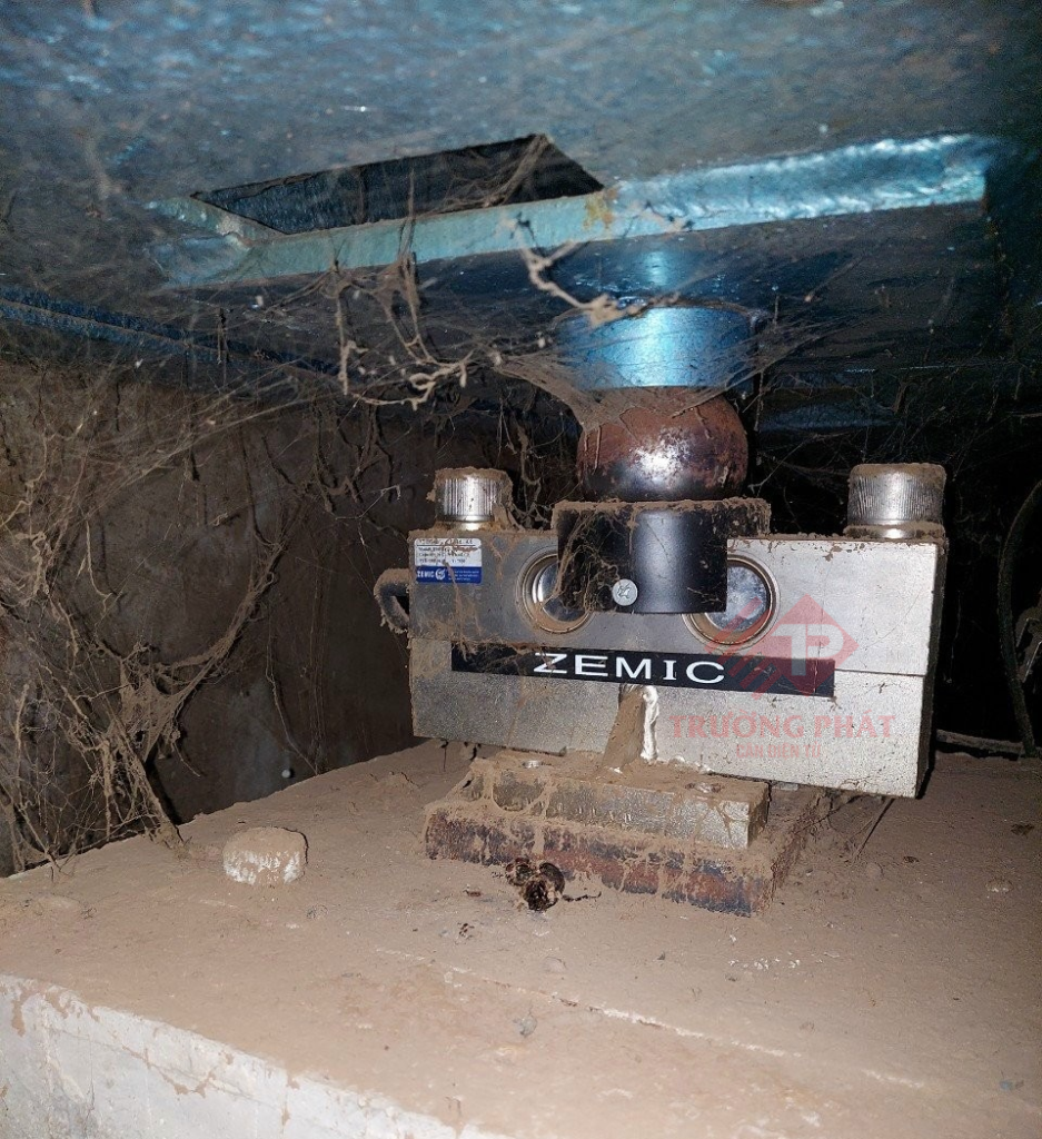 Cảm biến lực HM9B-30T ZEMIC Hà Lan