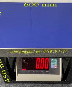 Cân nông sản 5060 T7E 300kg