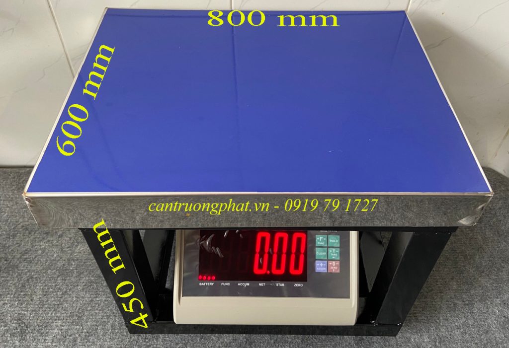 Cân nông sản 6080 T7E 500kg
