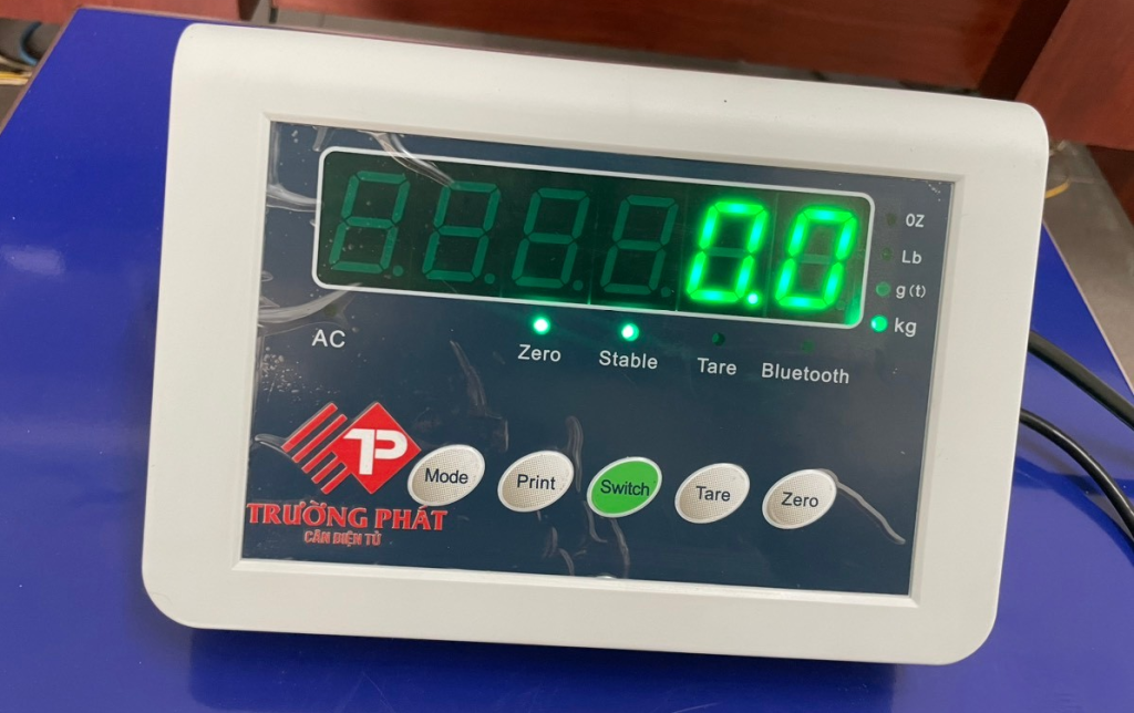 Đầu cân điện tử B19W