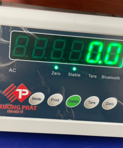 Đầu cân điện tử B19W