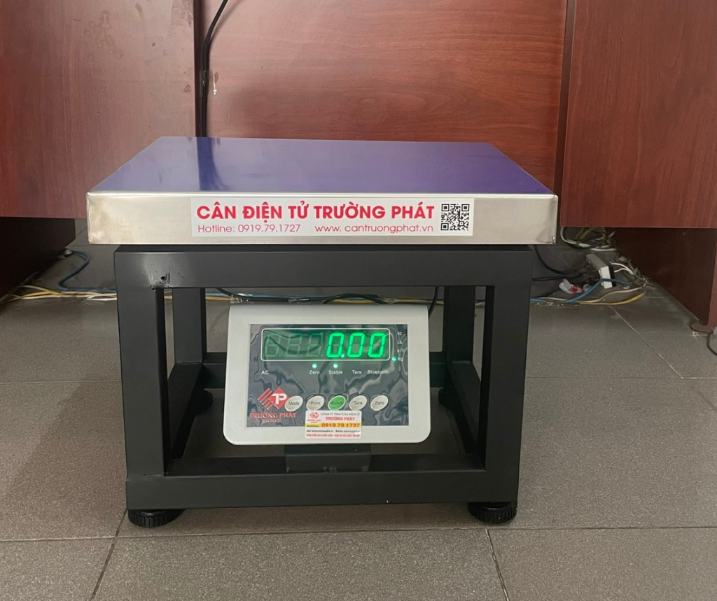 Cân ghế 4050 B19W 300KG