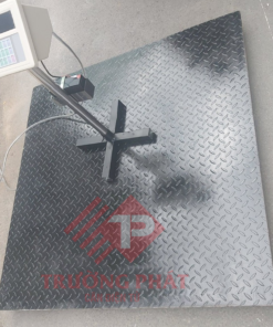 Bộ cân sàn điện tử A9P