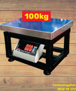 Cân ghế điện tử TPSDH 100kg
