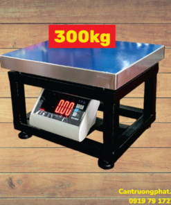 Cân ghế điện tử TPS300DH
